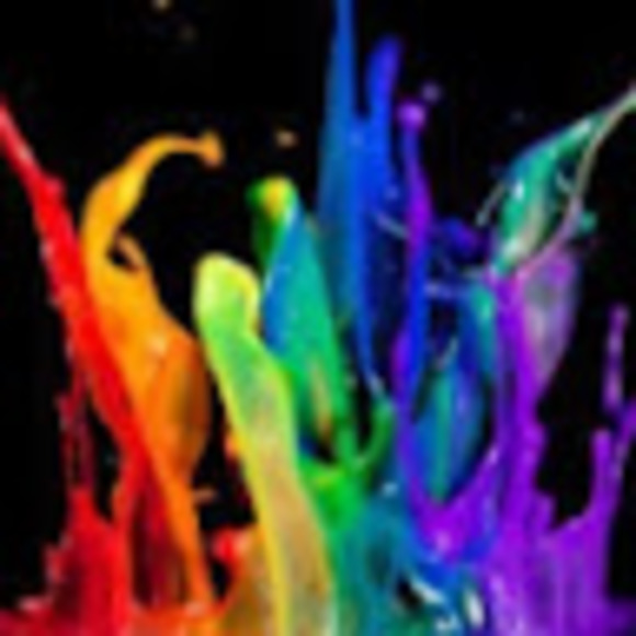 Meet your Posher, Zoey - Picture 1 of 1